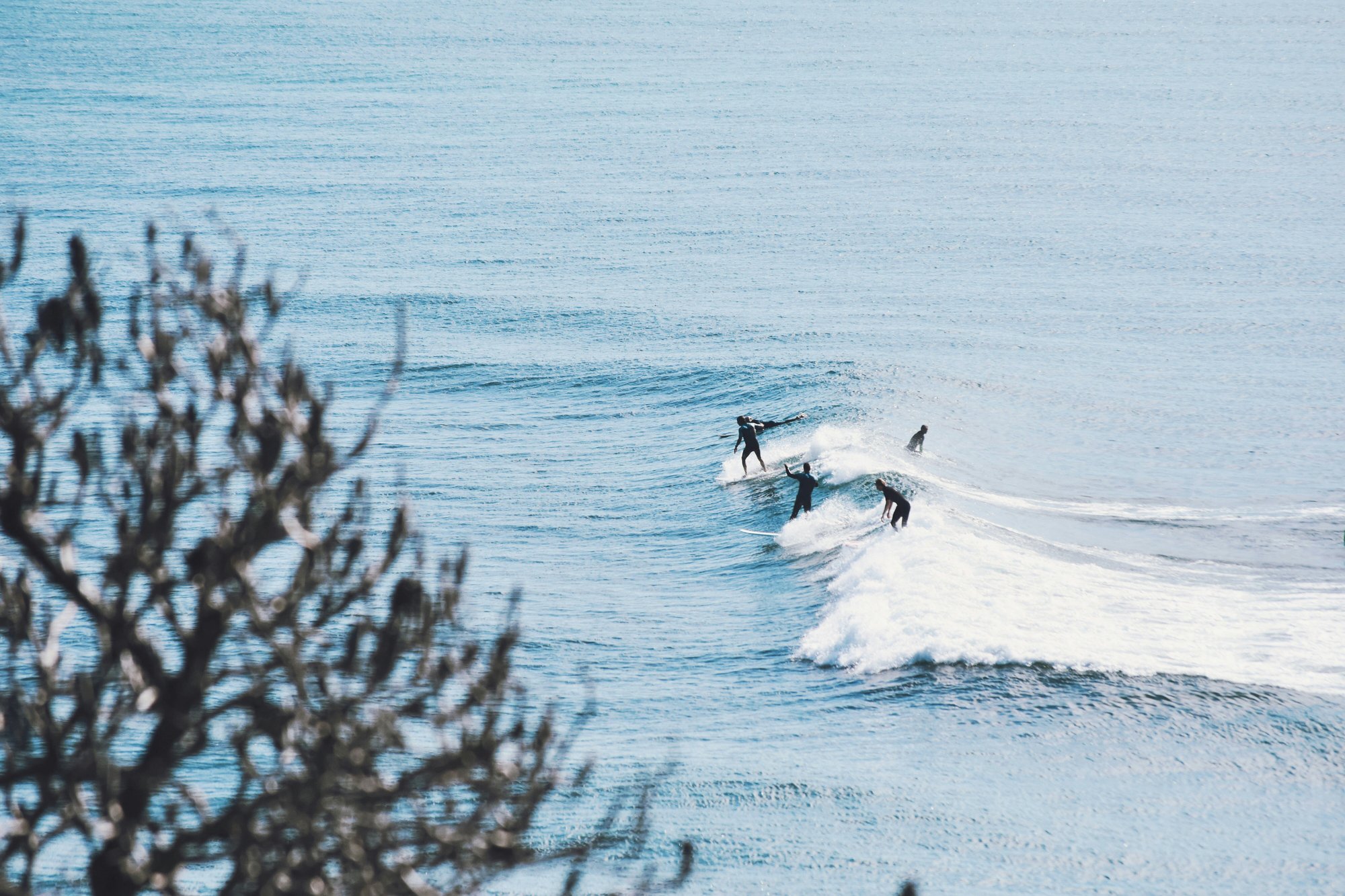 Surfers at Sunshine Coast