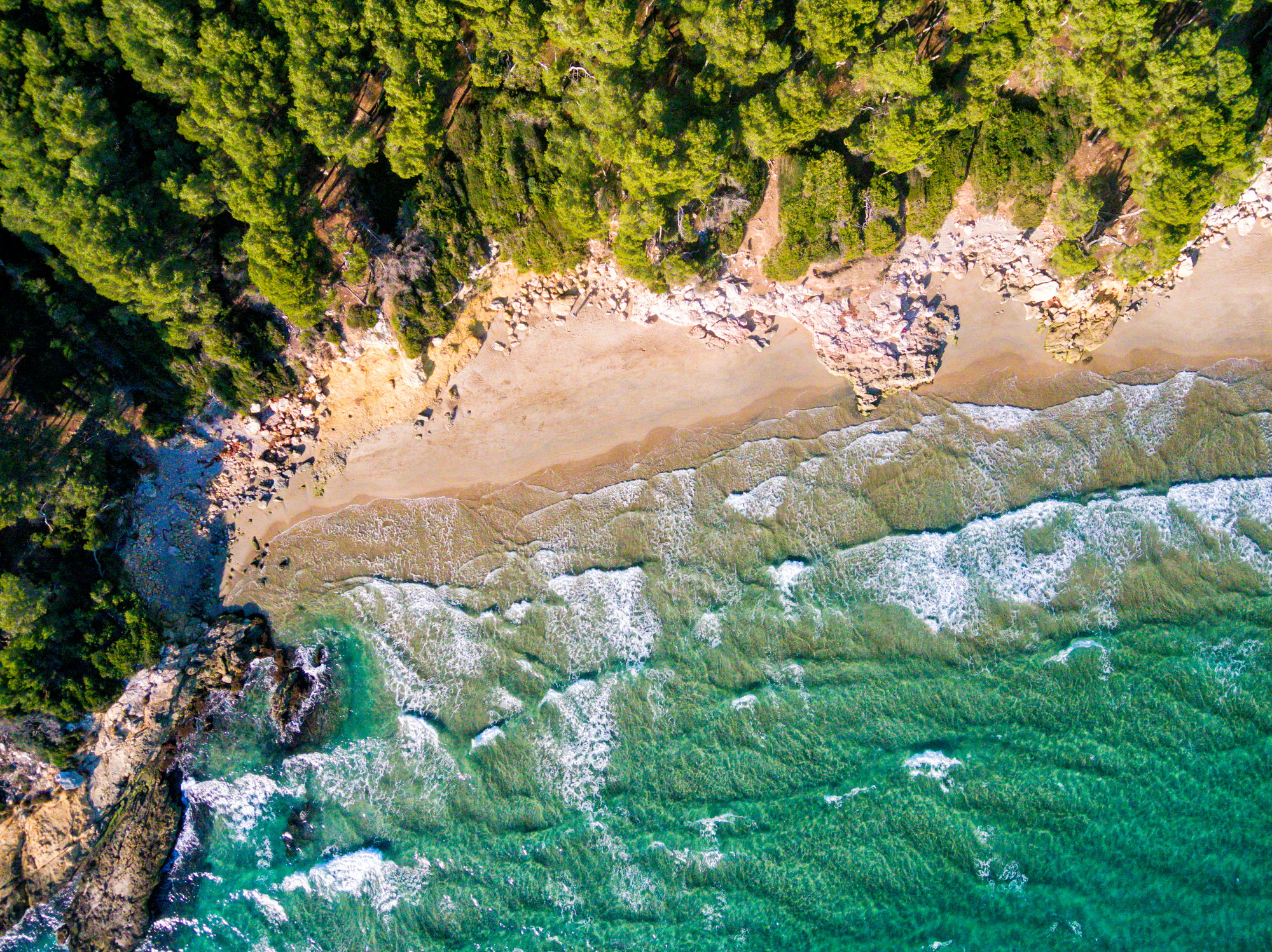 aerial-view-of-mediterranean-coast-at-costa-brava-2026-01-08-06-34-22-utc (1)